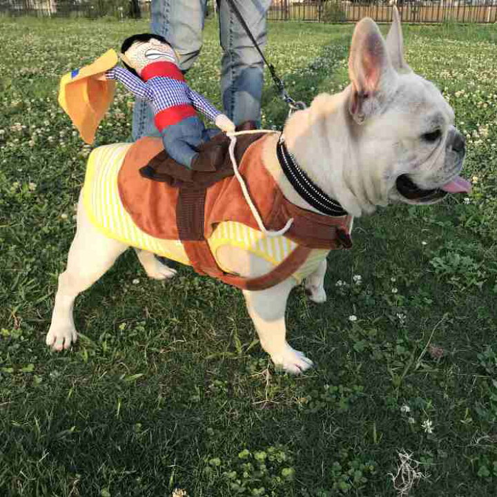 楽天市場 犬 ハロウィン 服 コスチューム コスプレ ペット用 カゥボーイ 人形 おもしろグッズ 変装 フレンチブルドッグ コーギー 小型犬 中型犬 大型犬 Km560g Bestwear
