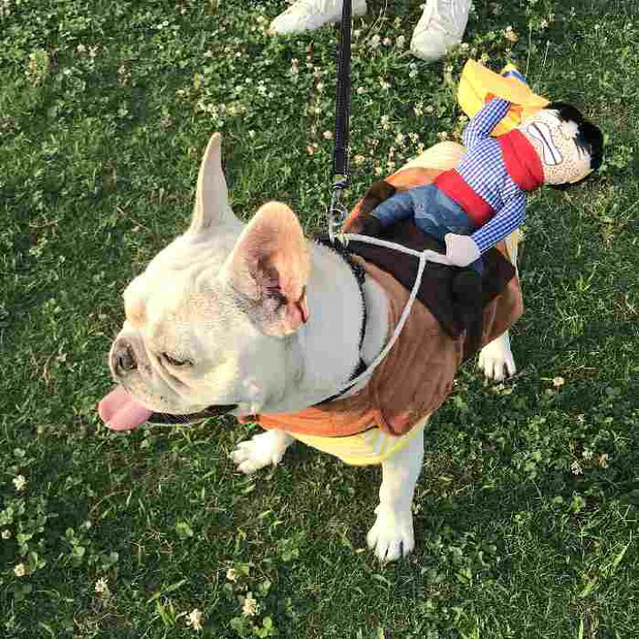 楽天市場 犬 ハロウィン 服 コスチューム コスプレ ペット用 カゥボーイ 人形 おもしろグッズ 変装 フレンチブルドッグ コーギー 小型犬 中型犬 大型犬 Km560g Bestwear