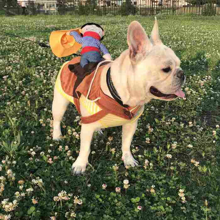 楽天市場 犬 ハロウィン 服 コスチューム コスプレ ペット用 カゥボーイ 人形 おもしろグッズ 変装 フレンチブルドッグ コーギー 小型犬 中型犬 大型犬 Km560g Bestwear