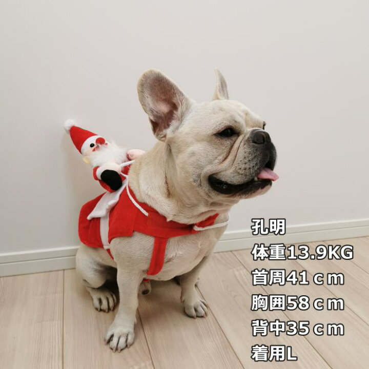 楽天市場 犬 クリスマス サンタクロース 冬 服 コスプレ レッド おもしろグッズ 変装 ペットコスチューム ペット服 パーティー フレンチブルドッグ 猫 小型犬 中型犬 Km562g Bestwear