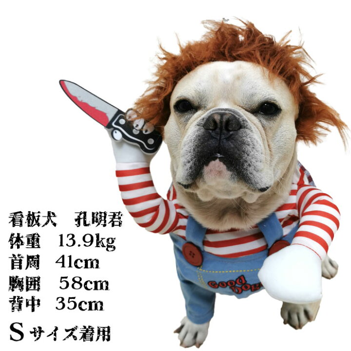 楽天市場 動画あり 犬 ハロウィン 服 犬服 コスプレ チャッキー 変装 コスチューム フレンチブルドッグ フレブル おもしろグッズ 仮装 変装 秋 冬 クリスマスプレゼント 小型犬 中型犬 大型犬 厚手 Km554g Bestwear