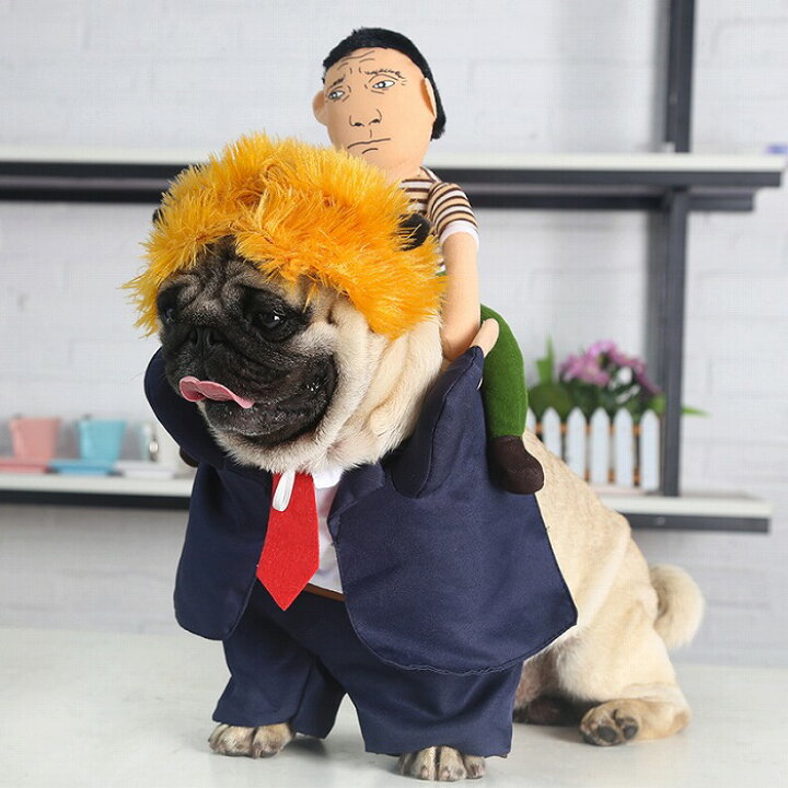楽天市場 犬 猫 ハロウィン 服 コスプレ サラリーマン コスチューム おもしろグッズ 秋 冬 変装 フレンチブルドッグ ペット服 犬 服 コスプレ 可愛い 猫服 犬用 小型犬 中型犬 変身服 出掛け 撮影道具 Km563g Bestwear 楽天市場 犬 猫 ハロウィン 服 コスプレ サラリーマン コスチューム おもしろグッズ 秋 冬 変装 フレンチブルドッグ ペット服 犬 服 コスプレ 可愛い 猫服 犬用 小型犬 中型犬 変身服 出掛け 撮影道具 Km563g Bestwear