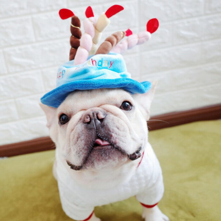 楽天市場 犬 誕生日 バースデー ハット 帽子 ブルー ピンク キャップ 可愛い ペット用 グッズ 犬服 犬用 猫用 冬服 夏服 オールシーズン パーティー コスプレ ケーキ お誕生日 かぶりもの インスタ映え おしゃれ 小型犬 かわいい オシャレ Cat 中型犬 ろうそく 仮装 Km569g