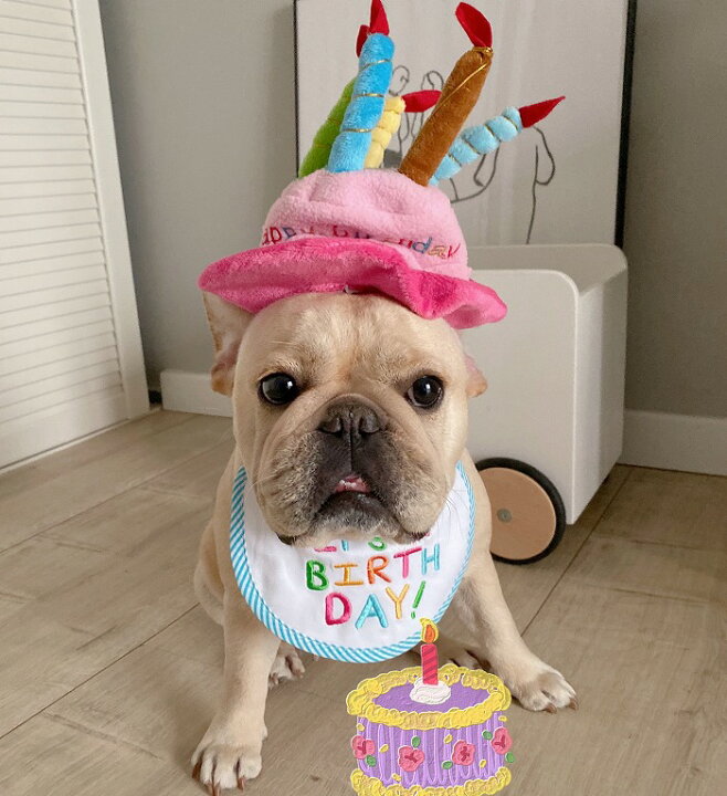 ペット 誕生日帽子 犬 蝶ネクタイ かわいい ハット バースデー 猫 4点セット 帽子 ペット 誕生日帽子 犬 蝶ネクタイ かわいい ハット バースデー 猫 4点セット 帽子