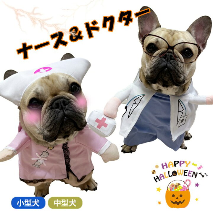楽天市場 犬 猫 ハロウィン 冬 秋 看護師 先生ナース ドクター おもしろグッズ 変装 フレンチブルドッグ ペット服 犬 服 コスプレ 可愛い 猫服 犬用 面白い 小型犬 中型犬 大型犬 変身服 出掛け 撮影道具 コスチュームkm565g Bestwear
