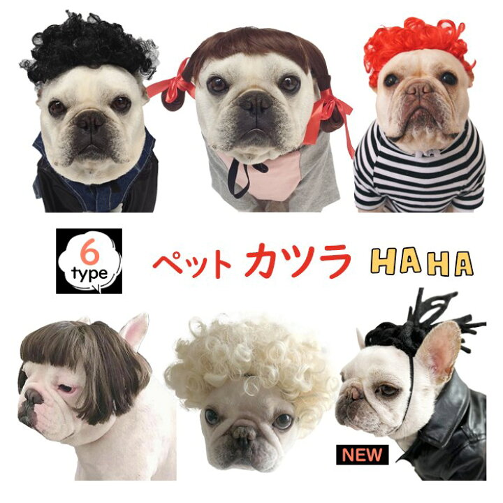 楽天市場 ポイント10倍 犬 猫 ハロウィン カツラ コスプレ パーマ アフロ おもしろグッズ 変装 フレンチブルドッグ ペット服 服 可愛い 猫服 犬用 面白い コスチューム 小型犬 中型犬 大型犬 変身服 出掛け 撮影道具 Km578g Bestwear