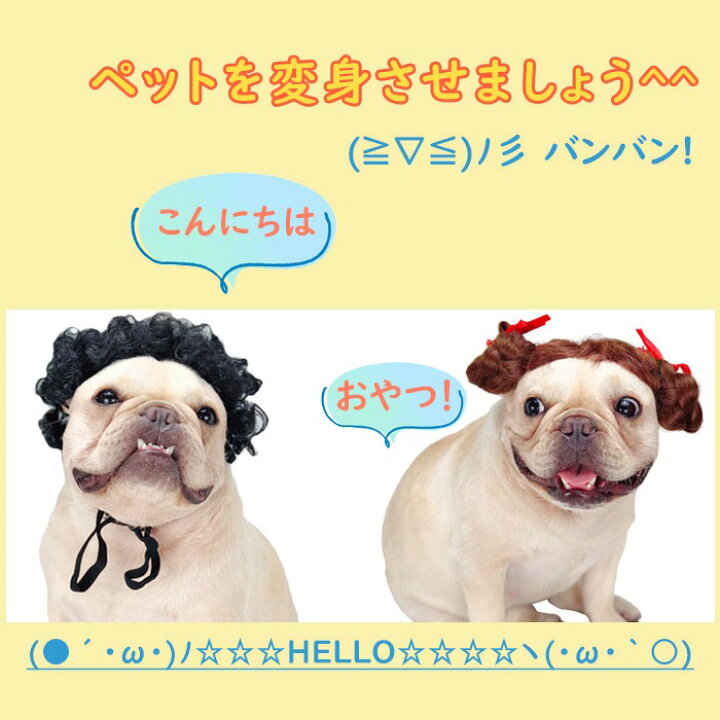 メーカー公式ショップ 0犬 猫 金髪かぶりもの コスプレ 面白い 可愛い ペット おしゃれ Aritasolutions Com