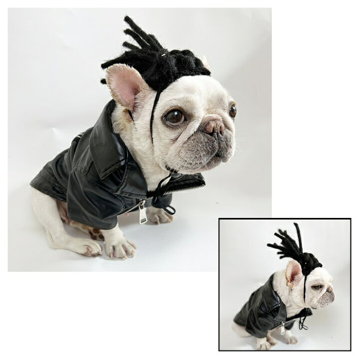 犬 カーラー 猫 カツラ 可愛い 変装 パーマ おもしろグッズ コスプレ フレンチブルドッグ 服 ペット服