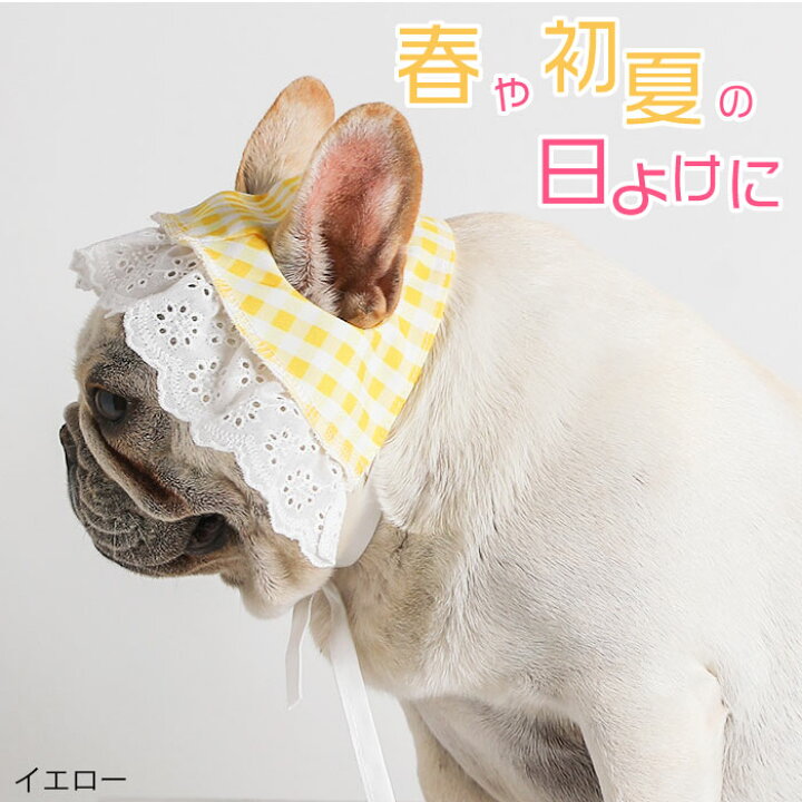楽天市場】犬 ヘッドドレス 春 帽子 アクセサリー ギンガム 