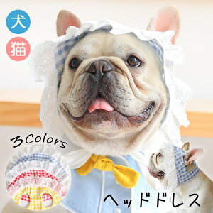  wbhhX t Xq ANZT[ MK`FbN wAANZ s[X [^ Ch sN u[ CG[ gCv[h ` Č _bNX |jA [L[ V[Y