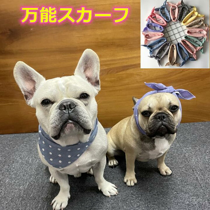 楽天市場 犬 スカーフ ヘアバンド よだれかけ バンダナ カラー ドッグアクセサリー 犬用デンタルスカーフ おしゃれ 可愛い 小型犬 犬服 ペット用コスチューム アクセサリー 犬の服 Km633g Bestwear
