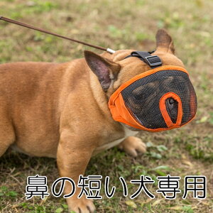 t`uhbN }XN  }Y @̒Z Z V[gm[Y}Y ʖi EHh~ ݂ rߕ h~ }XN bV SS tu pO p KM626G