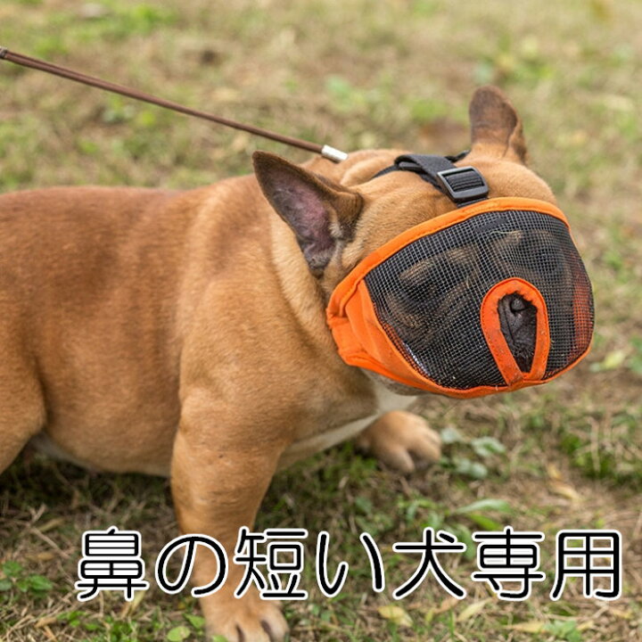 楽天市場 口輪 マズル 鼻の短い犬 短頭種 ショートノーズマズル 無駄吠え 拾い食い 噛みつき 舐め癖 防止 マスク メッシュ 安心安全 フレブル パグ 犬用 Km626g Bestwear 楽天市場 口輪 マズル 鼻の短い犬 短頭種 ショートノーズマズル 無駄吠え 拾い食い 噛みつき 舐め癖 防止 マスク メッシュ 安心安全 フレブル パグ 犬用 Km626g Bestwear
