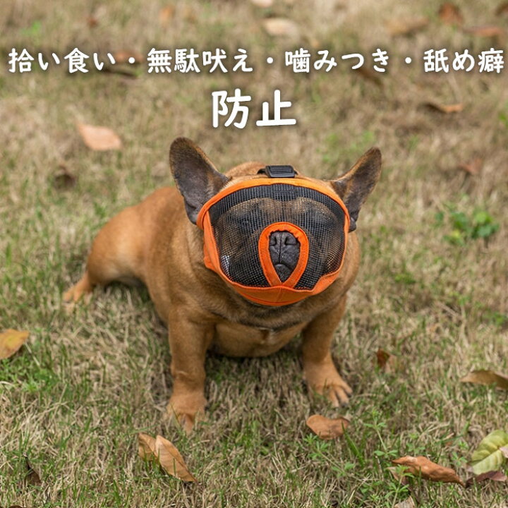 楽天市場 口輪 マズル 鼻の短い犬 短頭種 ショートノーズマズル 無駄吠え 拾い食い 噛みつき 舐め癖 防止 マスク メッシュ 安心安全 フレブル パグ 犬用 Km626g Bestwear