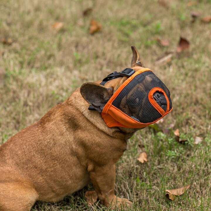 楽天市場 ポイント5倍 口輪 マズル 鼻の短い犬 短頭種 ショートノーズマズル 無駄吠え 拾い食い 噛みつき 舐め癖 防止 マスク メッシュ 安心安全 フレブル パグ 犬用 Km626g Bestwear