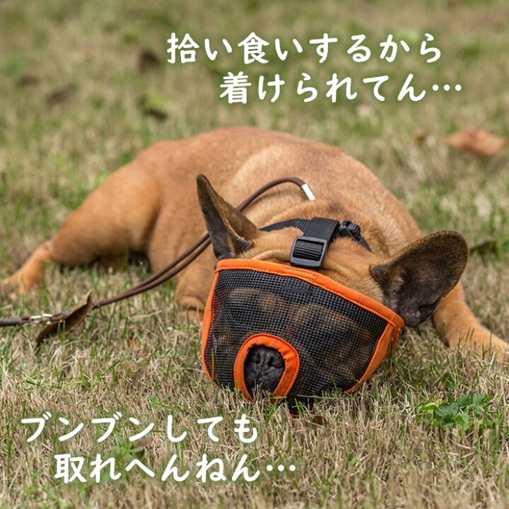 楽天市場 口輪 マズル 鼻の短い犬 短頭種 ショートノーズマズル 無駄吠え 拾い食い 噛みつき 舐め癖 防止 マスク メッシュ 安心安全 フレブル パグ 犬用 Km626g Bestwear