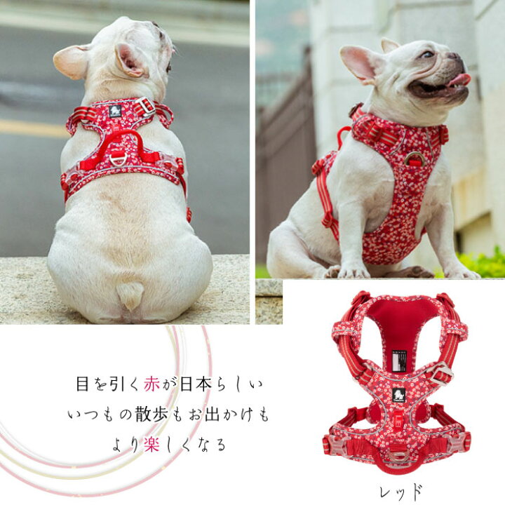 楽天市場 ハーネス ソフト 犬 小型犬 中型犬 大型犬 おしゃれ 和柄 綿 コットン100 安全 反射ライン かわいい カラフル 夜間安全 定番 フレンチブルドッグ 超小型犬 優しい 痛くない Km612g New Bestwear 楽天市場 ハーネス ソフト 犬 小型犬 中型犬 大型犬 おしゃれ 和柄 綿 コットン100 安全 反射ライン かわいい カラフル 夜間安全 定番 フレンチブルドッグ 超小型犬 優しい 痛くない Km612g New Bestwear