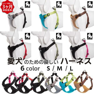 �y���r���[���T �����ۏ؁z �� �\�t�g�n�[�l�X �n�[�l�X ���� �����^�� ���^�� ���^�� ��^�� ������� �y�� �������� ���S 6�F ���ˑf�� ���킢�� �J���t�� ��Ԉ��S ��� �N�b�V�������� �t