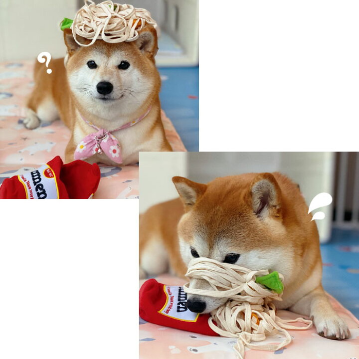 正規取扱店 犬 おもちゃ 音が鳴る ペット おやつ 訓練 ラーメン スニッフィング 知育玩具 知育トイ ノーズワーク トレーニング ヌードル Km617g Discoversvg Com