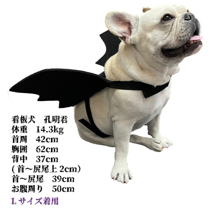 楽天市場 ポイント10倍 犬 ハロウィン コスプレ おもしろ 衣装 マジックテープ コウモリ コスチューム 服 羽 ドッグウェア 小型犬 中型犬 大型犬 被り物 仮装 パンプキン かぼちゃ Km638g Bestwear