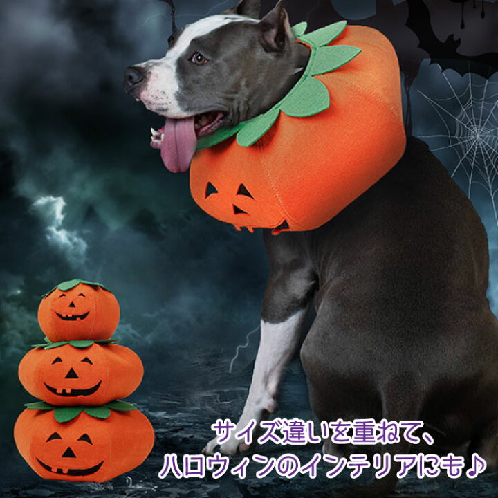楽天市場 犬 ハロウィン コスプレ 衣装 コスチューム 服 ドッグウェア フレンチブルドック フレブル 小型犬 中型犬 大型犬 被り物 仮装 パンプキン かぼちゃ エリザベスカラー エリザベスサークル Km639g Bestwear