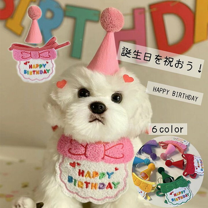 楽天市場】犬 誕生日 バースデー ハット 帽子 ブルー ピンク イエロー  
