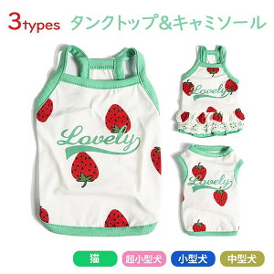   hbOEFA ybgEFA C`S  L~\[ ^Ngbv s[X ybg m JWA  ĕ KM019T