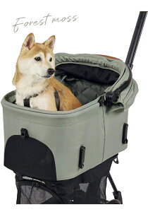 yKiۏ؁zAIRBUGGY GAoM[ wizX ybgJ[g y RpNg ₷ o U s ω׏d12kg K  p J[g ybgp tBbgV[Y EBYGbNX ^ 