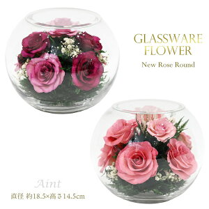 yT}[Z[zyIׂJ[zOXEFAt[ KX  KXt[ NEW[Y Eh LTCY sN Cbh hCt[ ̓ hV̓ Mtg v[g 