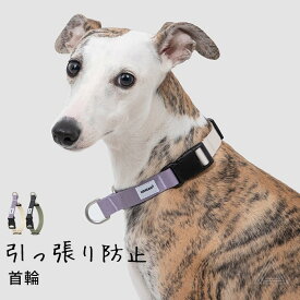 新作 犬 首輪 引っ張り防止 しつけ用 トレーニング首輪 調整可能 フレブル フレンチブルドッグ 引っ張り癖 小型犬 中型犬 犬用 散歩 丈夫 軽量 シンプル チワワ トイプードル マルチーズ 【HiDREAM】【HD029005】