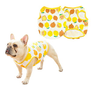  ^Ngbv   ^ ^ S~2XL t  H   [EFA tu t`uhbO pO іh~  킢  CXg hbOEFA ybg 