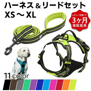 yr[T 3ۏ؁zTruelove  [h n[lX Zbg \tgn[lX n[lX ^ ^ ^ ^    S11F ˑf 킢 Jt 