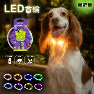 【無料簡易ラッピング対象】犬用 LED ライト 首輪 光る首輪 光る 防水 USB充電 カット可能 35cm 全8色 明るい 夜間 散歩 視認性 安心安全 小型犬 中型犬 点灯 点滅 ペット用 ドッグラン 夜 事故防