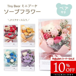  v[g  \[vt[  Tiny Bear u[P ~ju[P v`Mtg w Ǝ u[P ԑ \[v a ̓ ސEj t[Mtg   zCgf