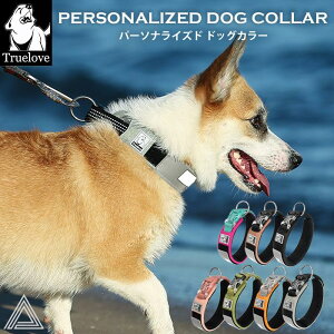   L NbV ɂȂ ˃e[vt ^ ^ ^ ^  킢  ʋC Jt t`uhbO ybgp 􂢂₷ V 