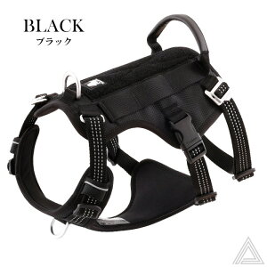 ^ @\n[lX Eh~ ϋv n[lX ɂ` @\ NbV ^   ߉\ ˑf ԈS S iD Jt ԈS  D 