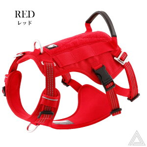 ^ @\n[lX Eh~ ϋv n[lX ɂ` @\ NbV ^   ߉\ ˑf ԈS S iD Jt ԈS  D 