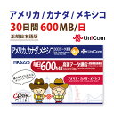 不課税　アメリカ / カナダ / メキシコ データ通信専用SIMカード(600MB/日/30日) ※開通期限2026/06/30 アメリカSIM …