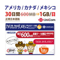 不課税【物理SIM/ネコポスゆうパケット発送】アメリカ / カナダ / メキシコ データ通信専用SIMカード(600…