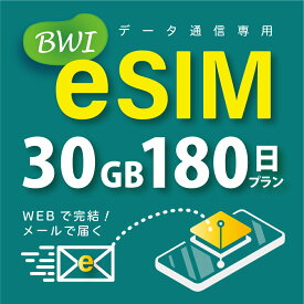 【eSIM版！荷物のお届けなし！メールにて送信】日本 国内専用 eSIM 30GB/180日 プリペイド e-SIM データ通信専用 docomo MVNO 回線 4G/LTE対応 長期利用 日本esim 【eSIM対応機種専用】