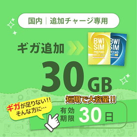 【発送なし/完了後メール報告】日本国内30GB/30日データリチャージ【docomoMVNO物理SIM専用リチャージ】