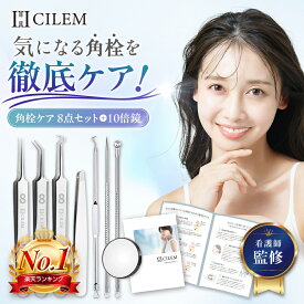 【楽天1位】 角栓 ピンセット 角栓取り 鼻 毛穴 ニキビ取り 毛抜き ツィザー 角質取り 精密 毛穴ケア 専用キット ケアセット ニキビケア ニキビ潰し にきび 黒ずみ 角栓除去 毛穴ケア コメドプッシャー ニキビ コメド いちご鼻 白ニキビ フェイスケア 針