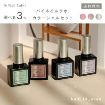 楽天市場】ジェルネイル ポリッシュタイプ セットの通販