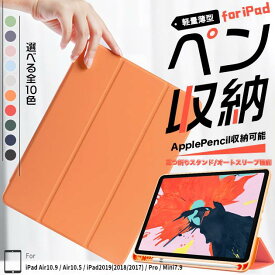 iPad Air 第5/4/3世代 ケース iPad 第10/9世代 ケース ペン収納 カバー ペン アイパッド mini 6/5 Pro 11 インチ ケース おしゃれ