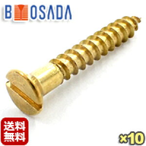yzBS (^JA)i|jM؂˂M3.1X10y10{zn˂a3.1mm×10mm (a6.2mm)M؃lW@}CiXlW@rXAeB[N˂ AeB[NlWylR|X z