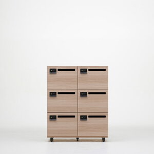 bJ[ t RZgt 90×s47×112cm bellacontte FLEX PRIVATE LOCKER i 6lp 2A 3i ItBXbJ[ X߃bJ[ [bJ[ t[AhXbJ[   e