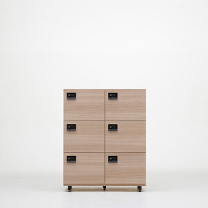 bJ[ t RZgt 90×s47×112cm bellacontte FLEX PRIVATE LOCKER i 6lp 2A 3i ItBXbJ[ X߃bJ[ t[AhXbJ[   e ؐ { 