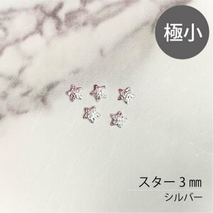 �y�l�C���A�[�g�ɏ��p�[�c/�l�C���X�^�b�Y�z�X�^�[ �� �l�C���o�[ �V���o�[�^�S�[���h �e10��