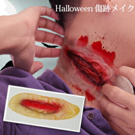 楽天市場 傷メイク シリコンの通販