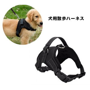 ݌ɏZ[p n[lX ubN Up iC \tg